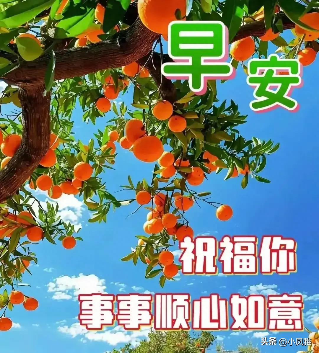 企业信息 第310页