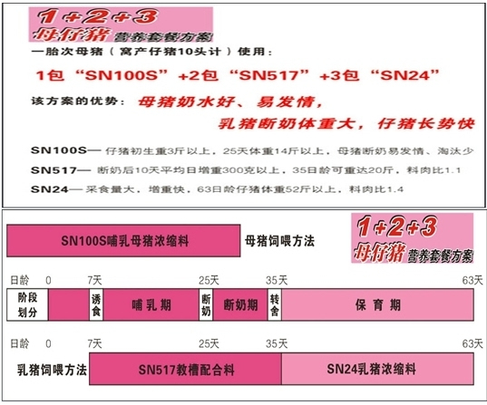 新澳最精准正最精准龙门客栈,平衡性策略实施指导_M版47.503