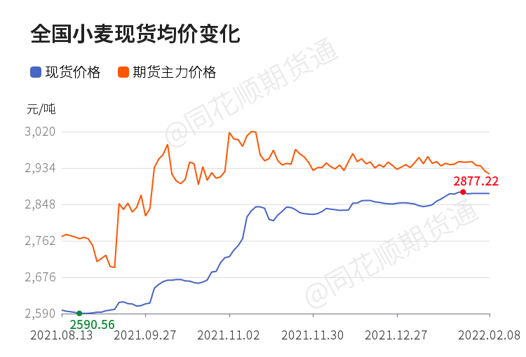 最新小麦价格行情动态分析