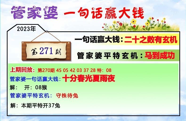 管家婆精准一肖一码100%,平衡策略实施_MT63.357