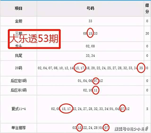 双色球最新结果开奖号,实时解析数据_iPad62.970