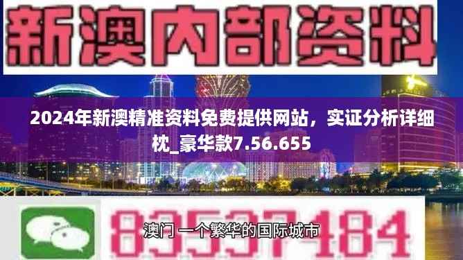 2024新奥正版资料免费,决策资料解释落实_4K71.738 - 副本