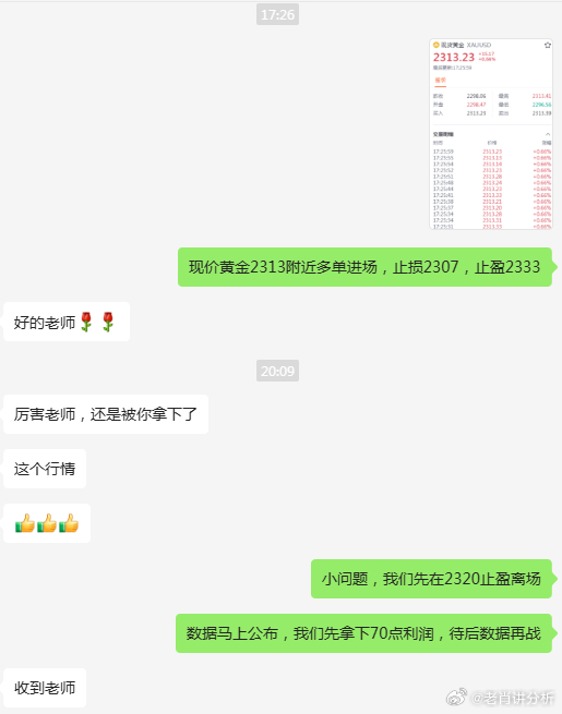 一肖一码一一肖一子,专业调查解析说明_策略版69.127