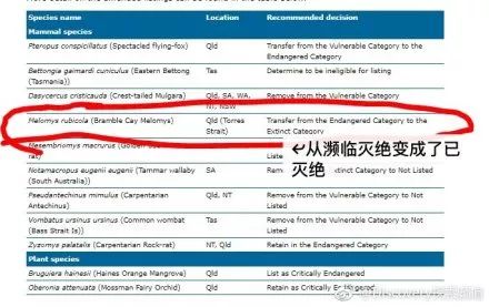 新澳今天最新资料网站,深入分析解释定义_Premium24.823