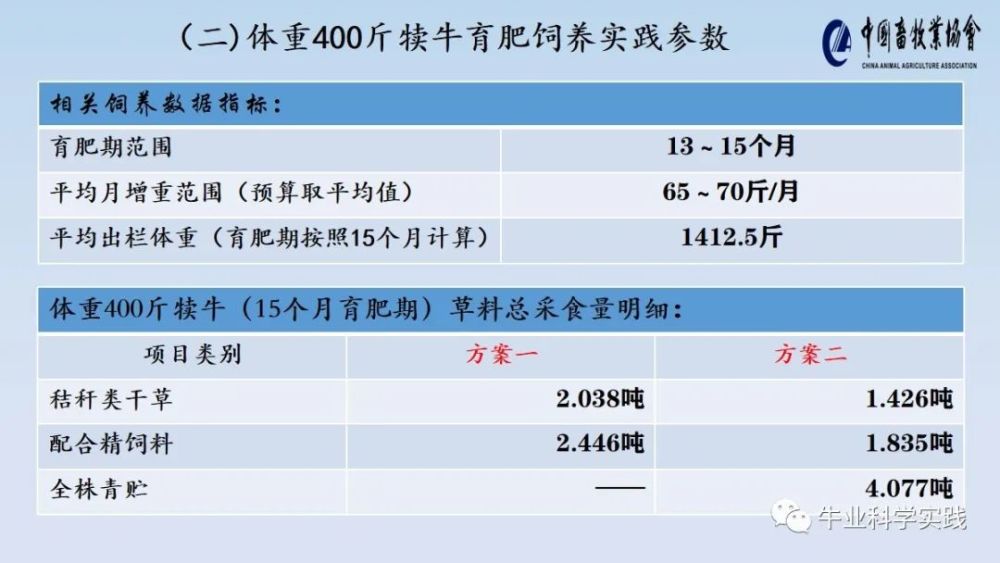 新澳历史开奖记录查询结果,深度数据应用实施_经典版53.988